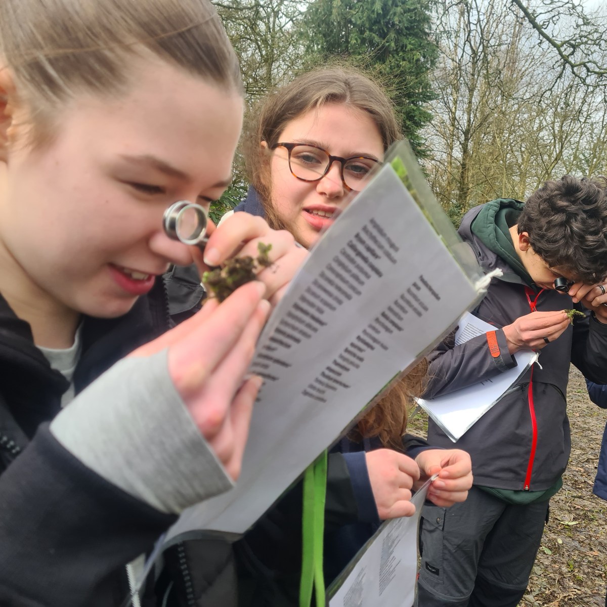 Mossing and more rhodie&nbsp;bashing