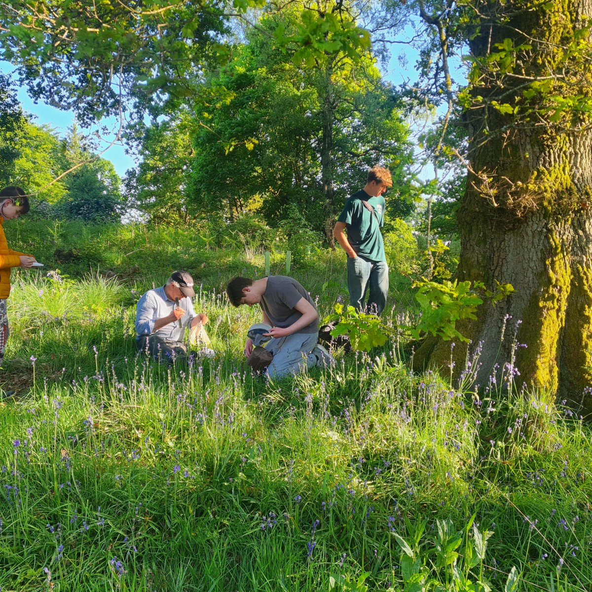 Baby birds and a wildlife&nbsp;whodunnit