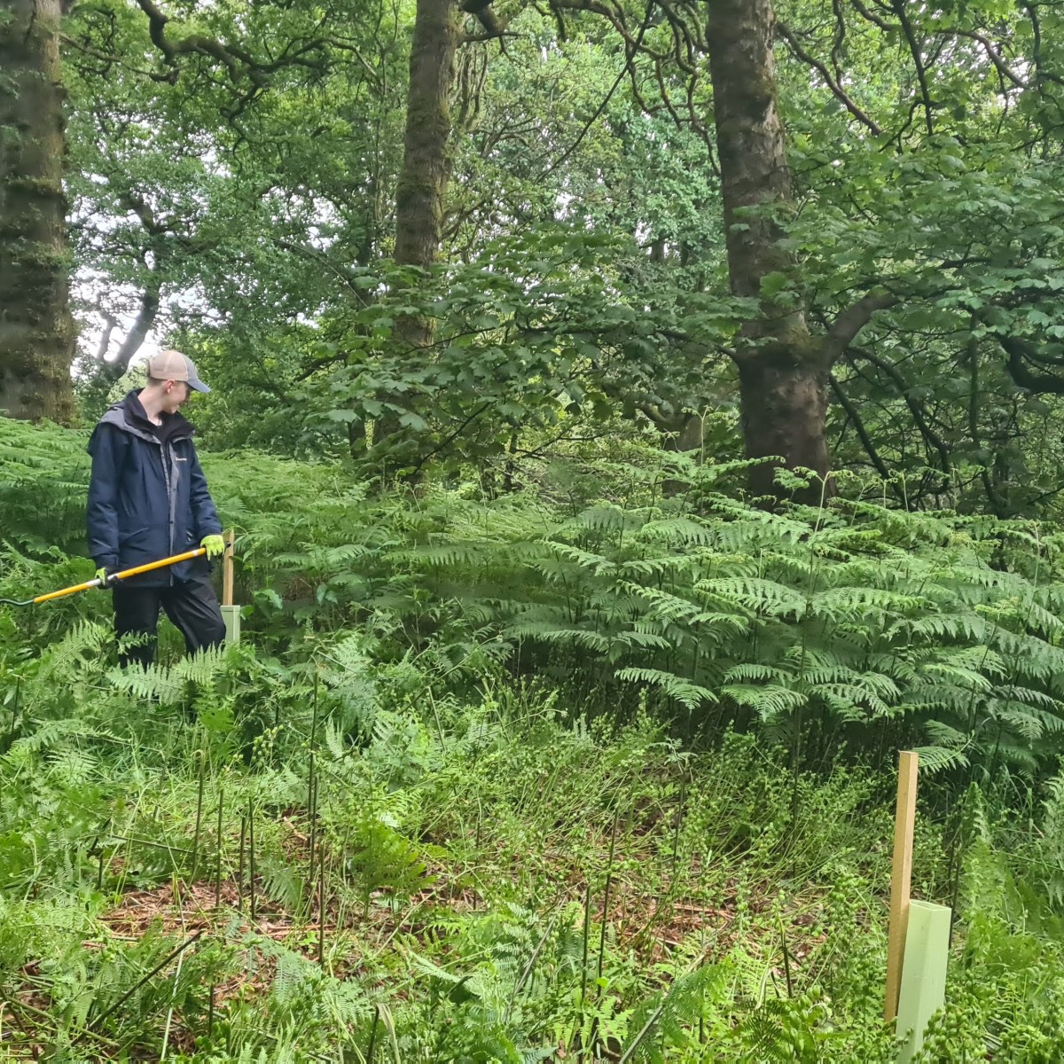 Final nest box checks and a baby roe&nbsp;deer