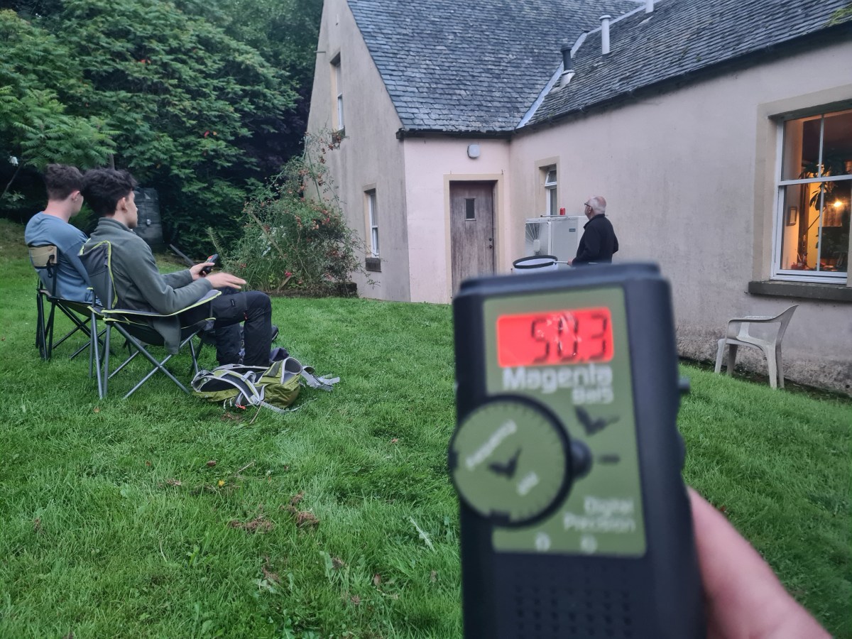 Bat survey and burning&nbsp;stuff